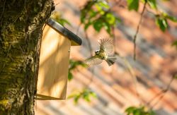 nieuwsbrief_inschrijven