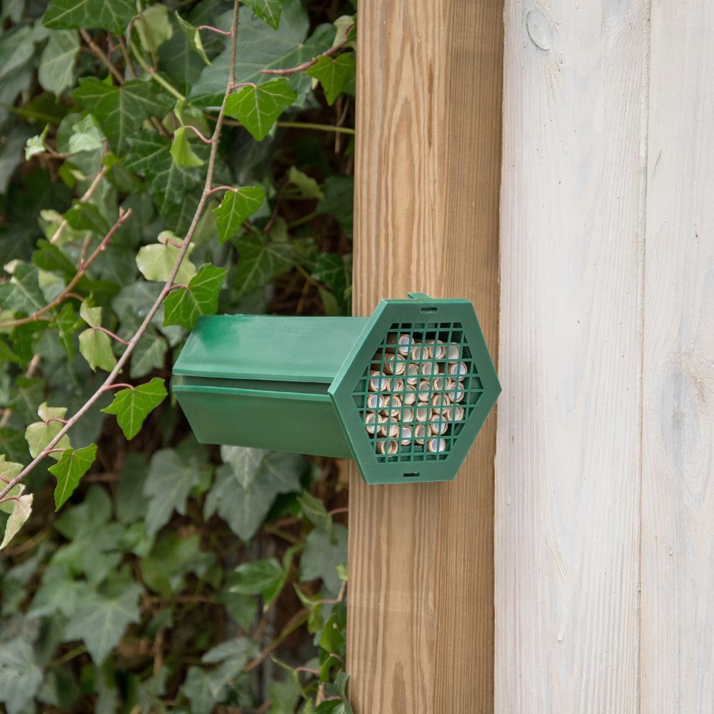 Mason bee house with nesting tubes for solitary bees - 1