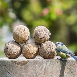 Food_slider_fat_balls