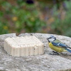 Food_slider_peanut_cake_squares