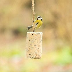 Food_slider_peanut_cake_tubes