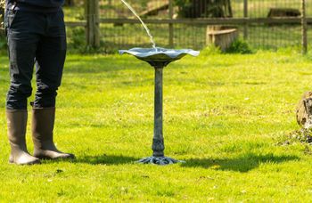 Een tuin zonder water telt niet mee in vogelland