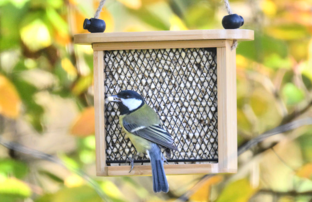 vegansuet - 1