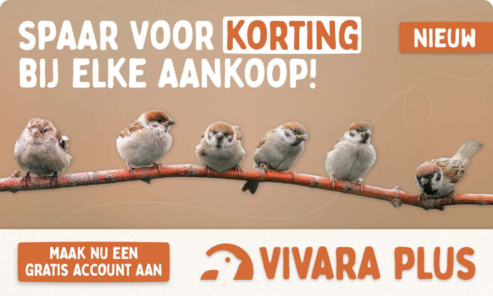 CD-2257_-_Loyalty_Program_-_Home_Page_Banners_NL_V2
