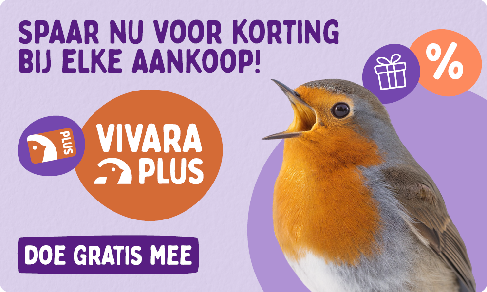 CD-2329_-_Loyalty_Program_-_NL_Homepage_Desktop