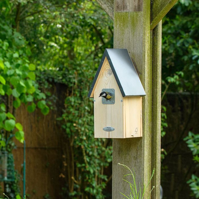 Nest Boxes