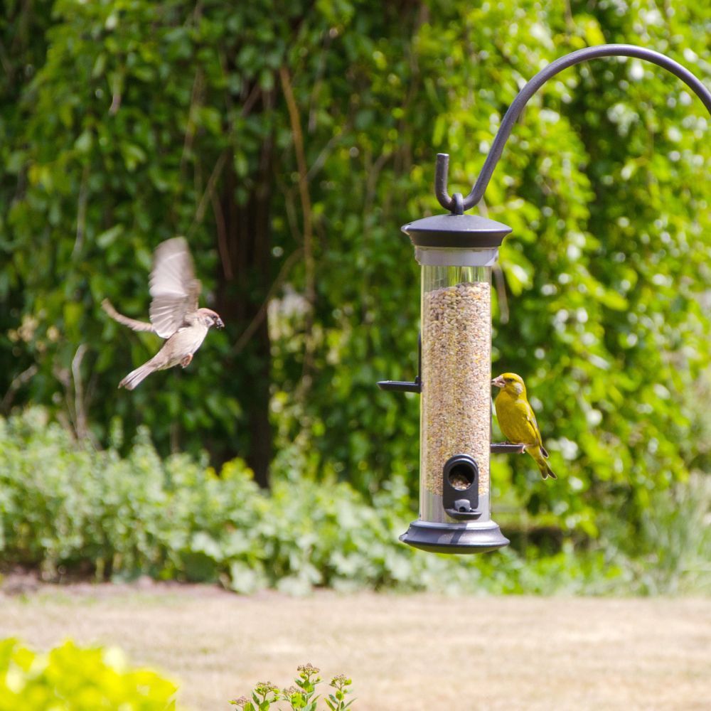 CJ Wildlife Feeding Station