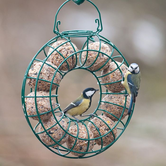 Vivara Meisenknödelkranz