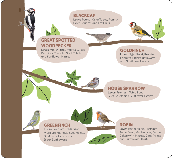 CD-2203_Bird_Introduction_1