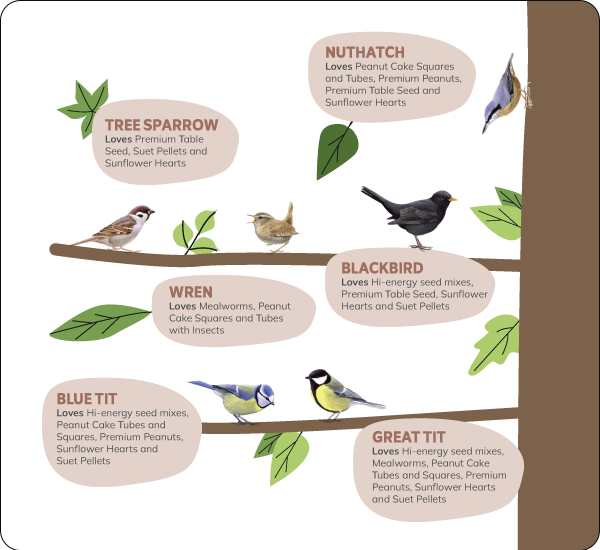 CD-2203_Bird_Introduction_2