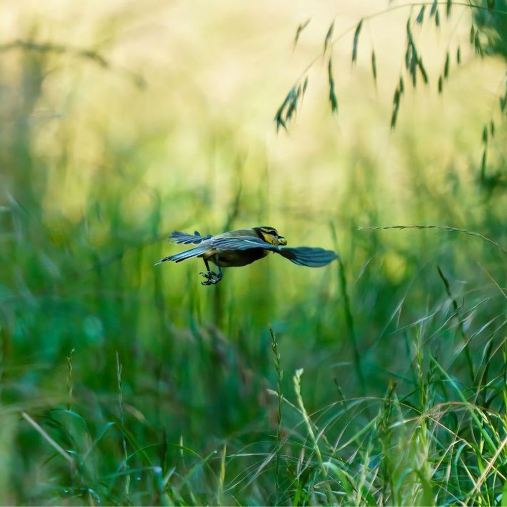 Découvrez nos offres du moment