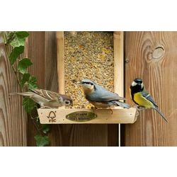 vogelfutter_wahrend_des_sommers_1_