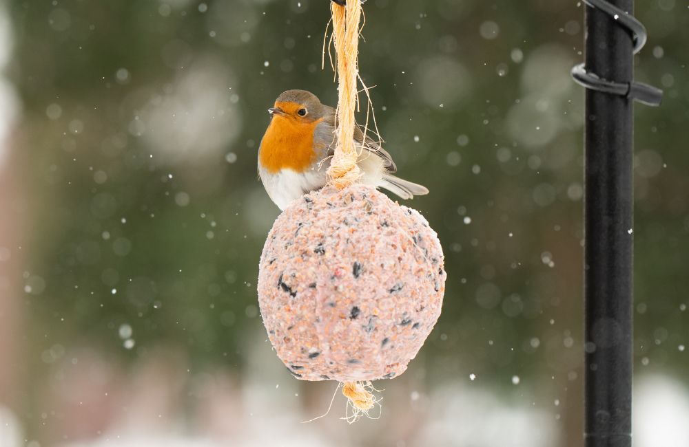 Snel opvetten is noodzakelijk