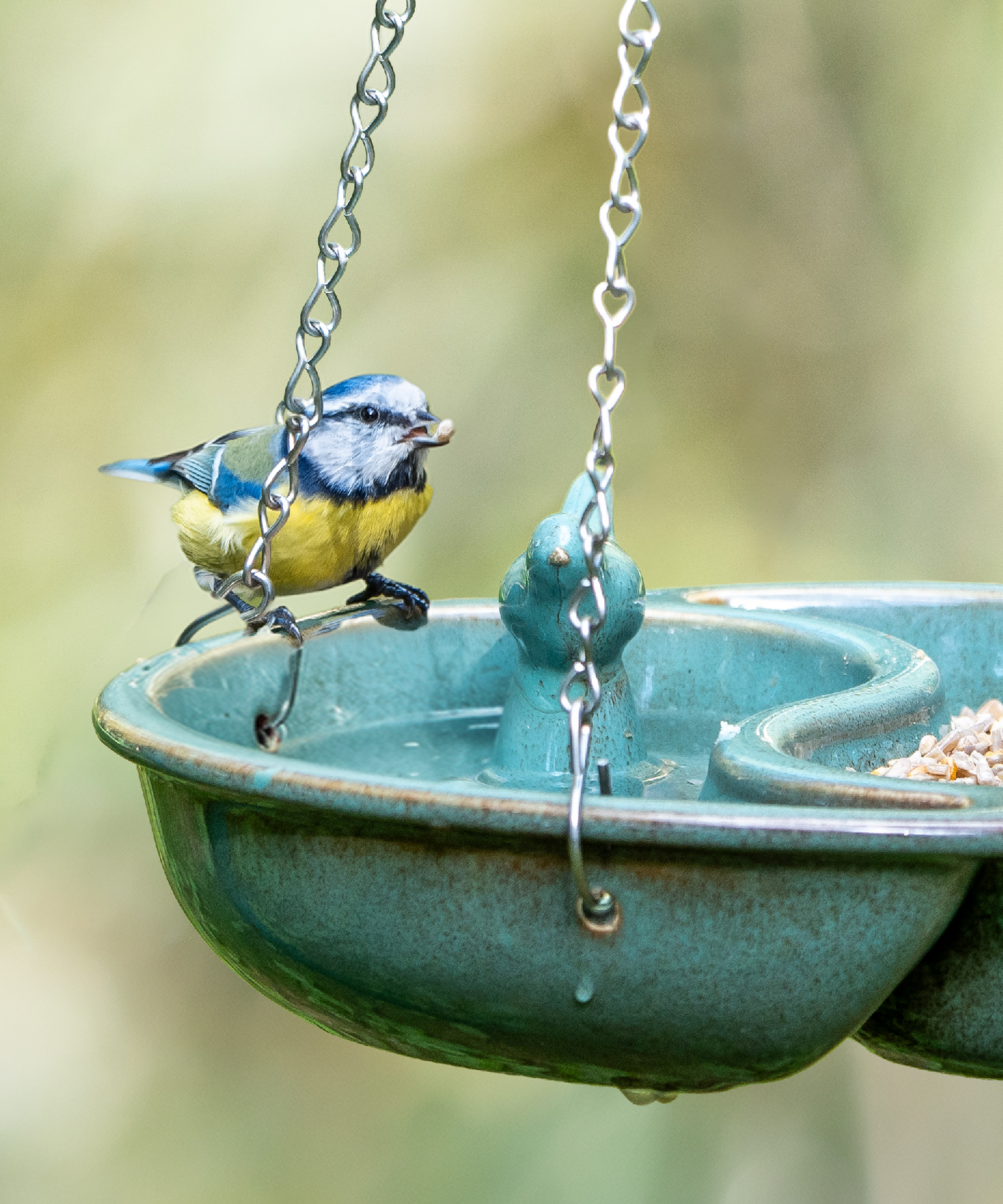 CD-2343_-_Landingpage_visuals_Summer_v1