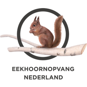 Logo Eekhoornopvang Nederland