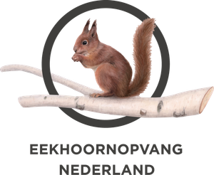 Logo Eekhoornopvang Nederland