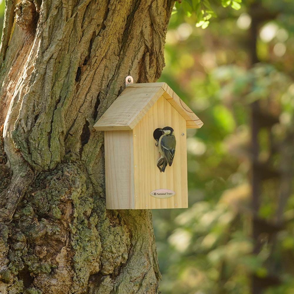 Nest Boxes