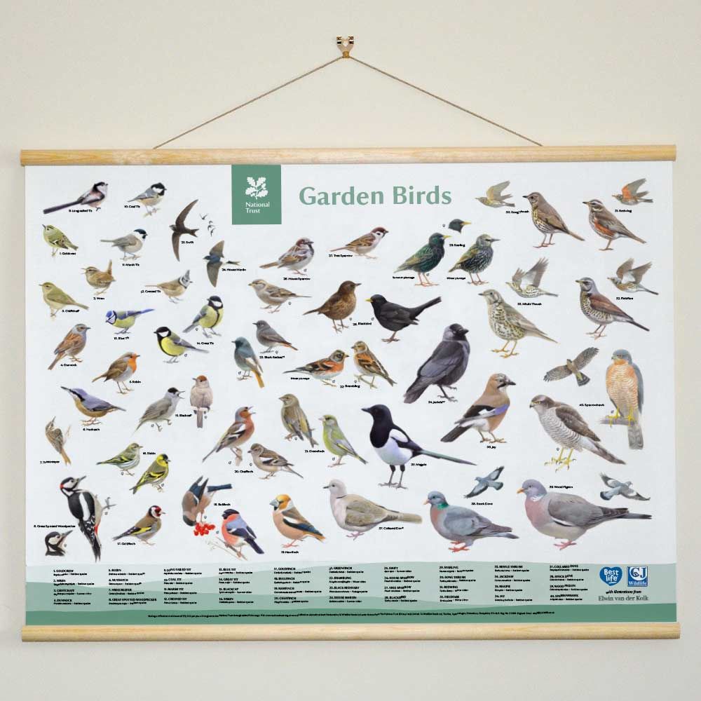 National Trust Gifts
