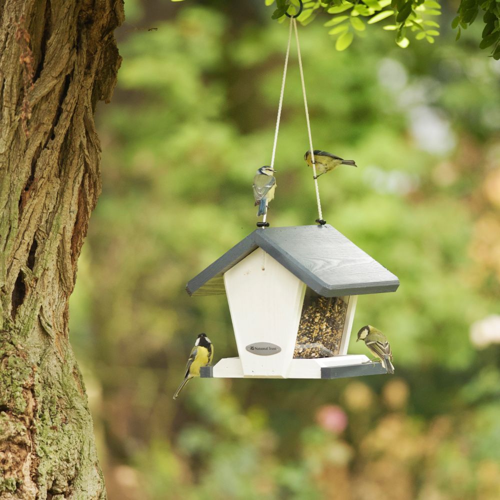 Bird Feeder