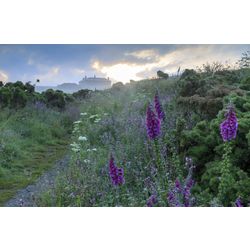 NT_Cornwall_National_Trust_ImagesJohn_Miller