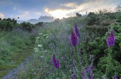 NT_Cornwall_National_Trust_ImagesJohn_Miller