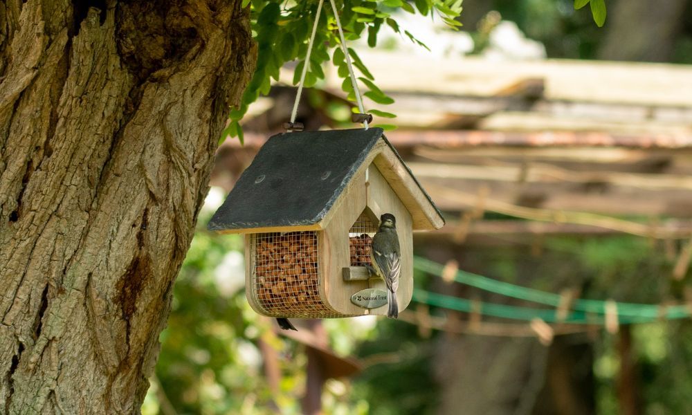 NT Members mobile - 1