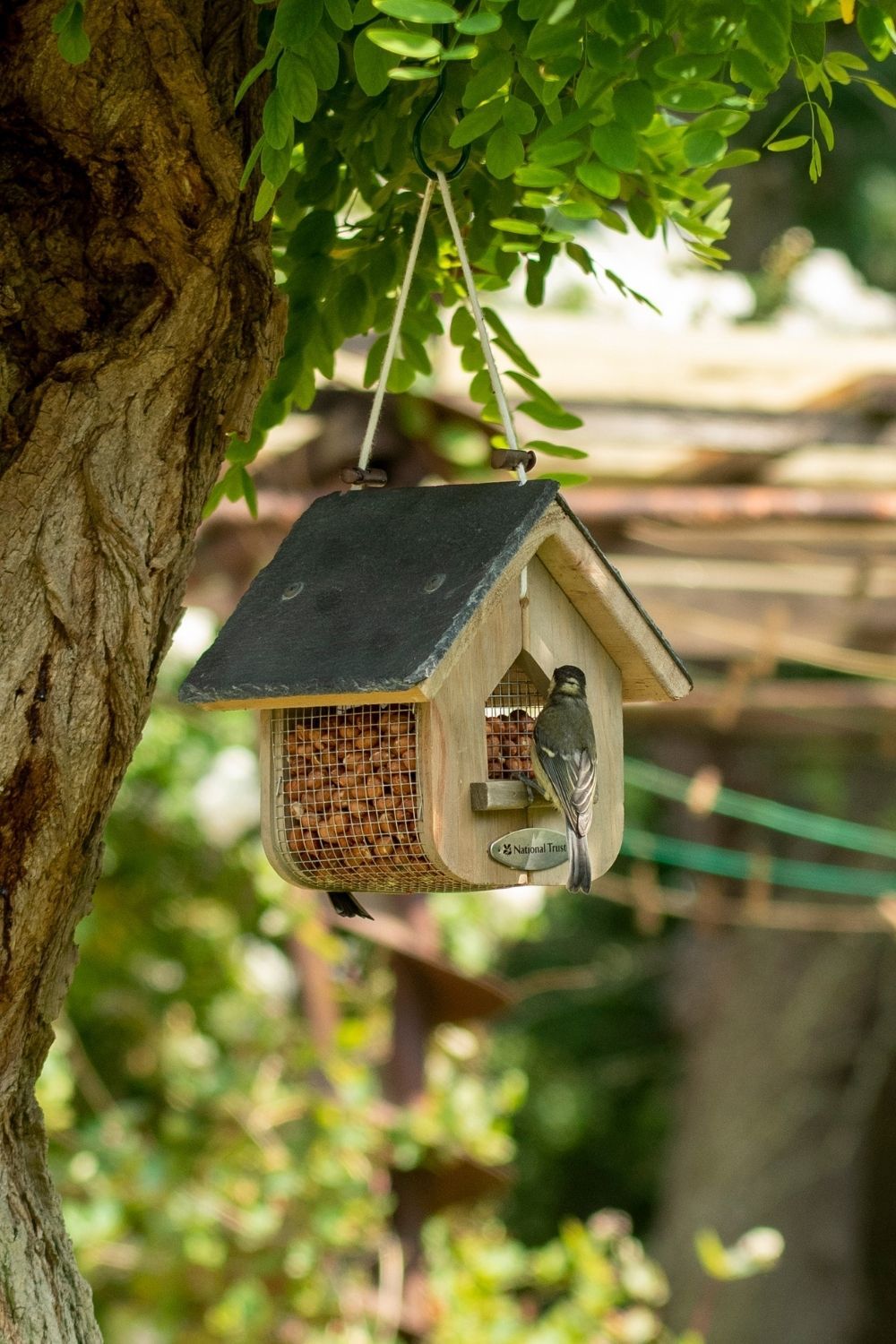 national_trust_members_jupiter_feeder_mobile - 1