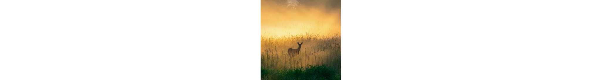 Natuurmonumenten_LP_1000x1000_MOB
