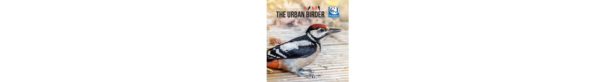 CD-1353_-_Banner_The_Urban_Birder-Mobile