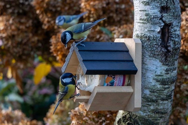 vogelspodkast_pindakaas_2 - 1