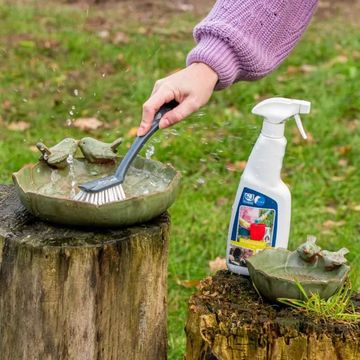 Biological Cleaner for Bird Baths, Feeders & Nest Boxes
