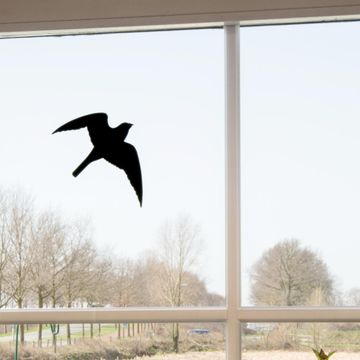 Autocollants de silhouettes d’oiseaux