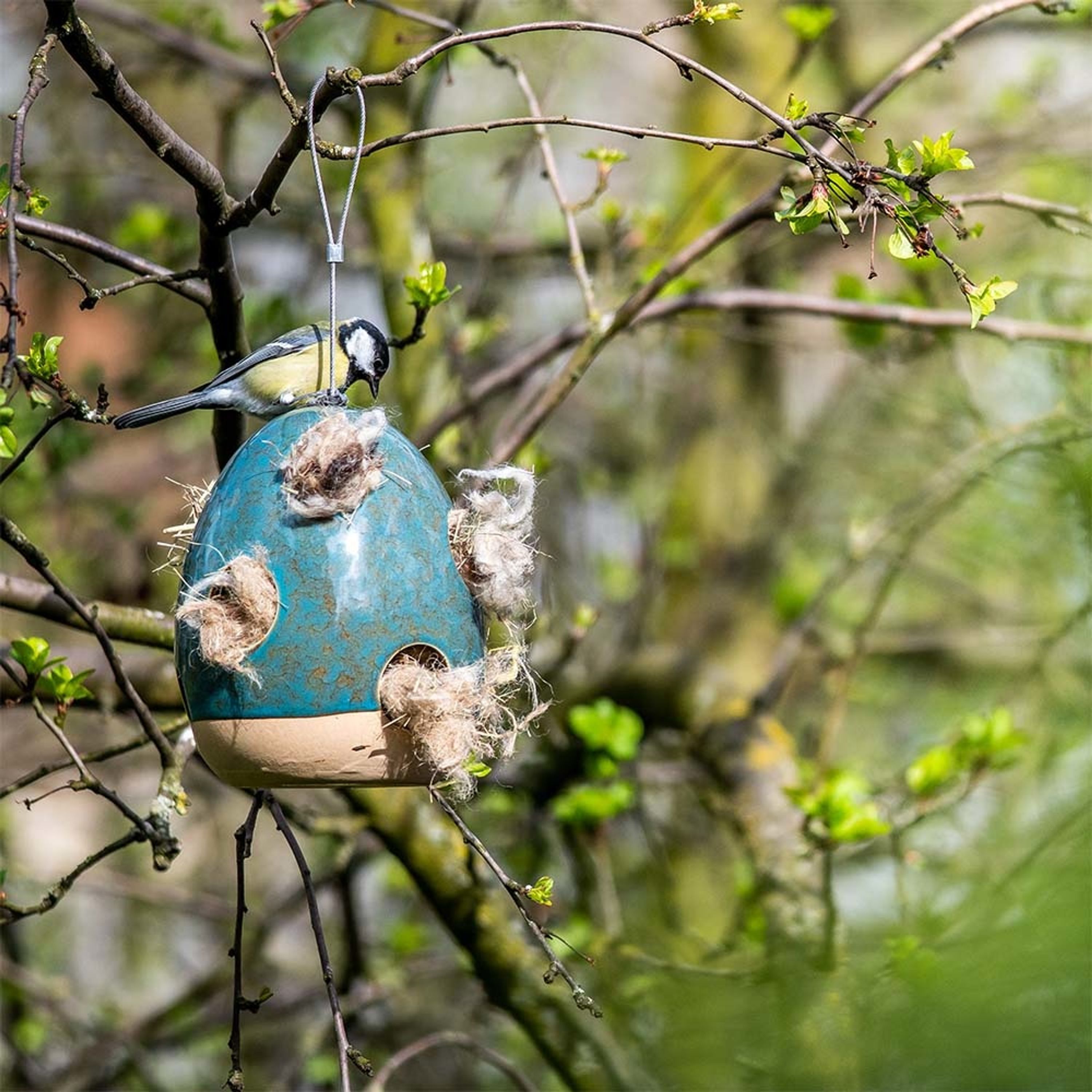 Nestbauhilfe „Vierno“  | CJ Wildlife