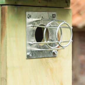 Hulldeksel for fuglekasser 32 mm