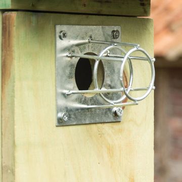 Protection en métal  Ø 32 mm pour nichoirs