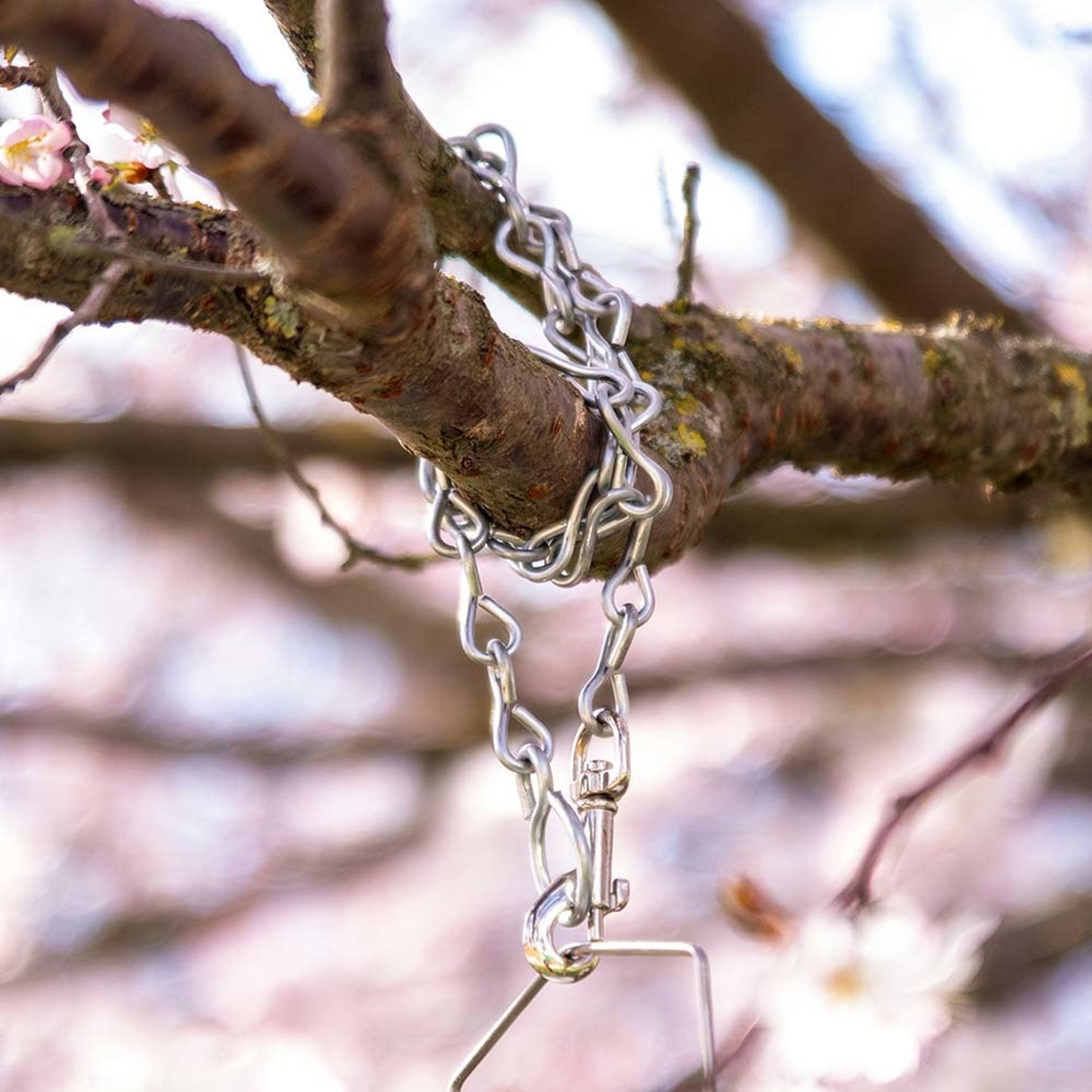 Ophangketting lengte: 60 cm