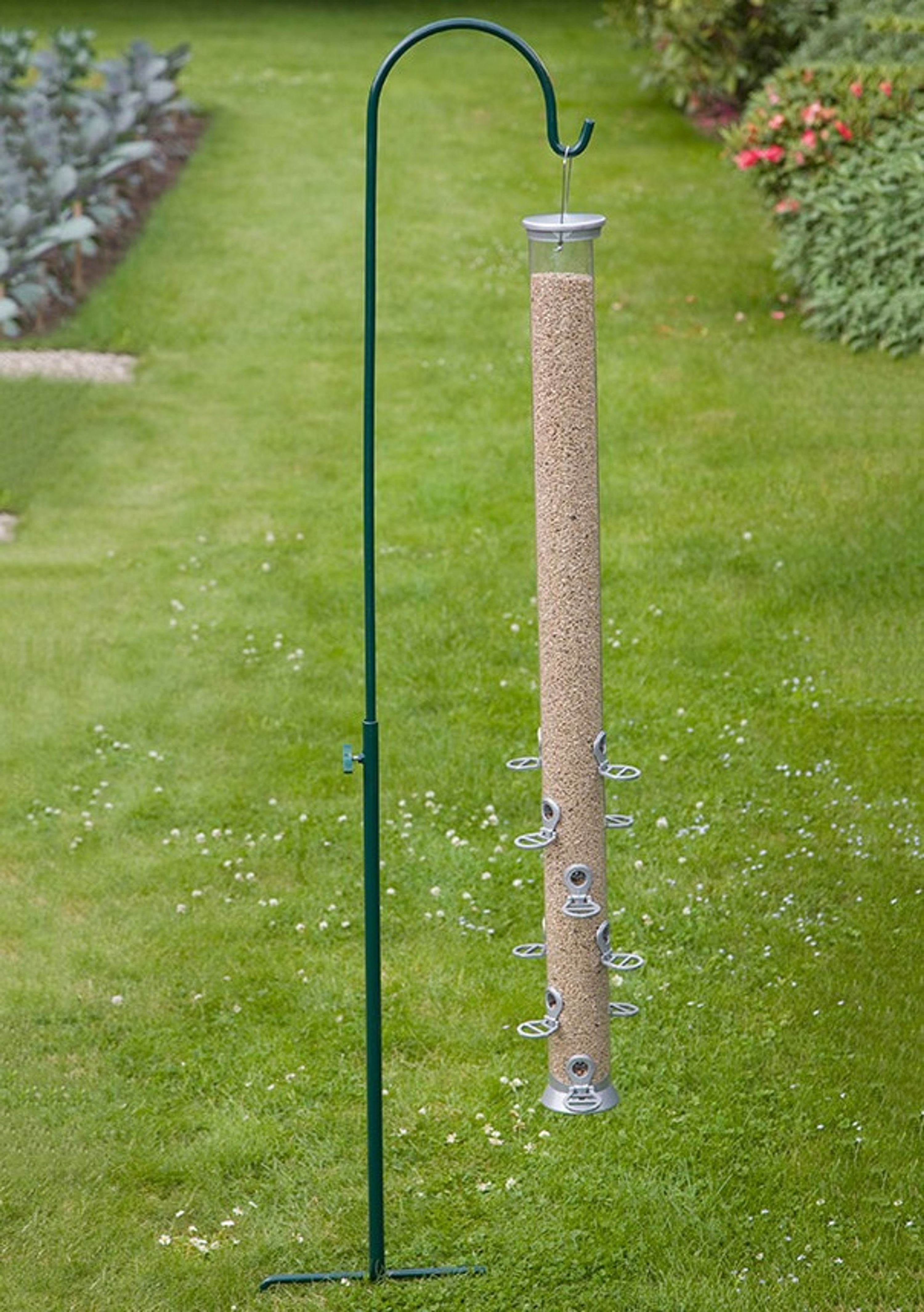 Hirtenstab Riesenfuttersäule | CJ Wildlife – CJ Wildlife