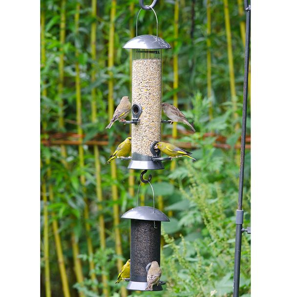 Bird Feeder Link