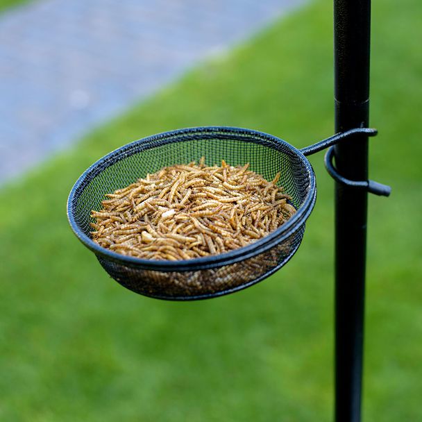 Kit De Support De Perche Pour Mangeoire à Oiseaux, Réglable, 193 Cm, Support Universel Avec 5 Dents, Pour Jardin, Extérieur, Cour, Noir