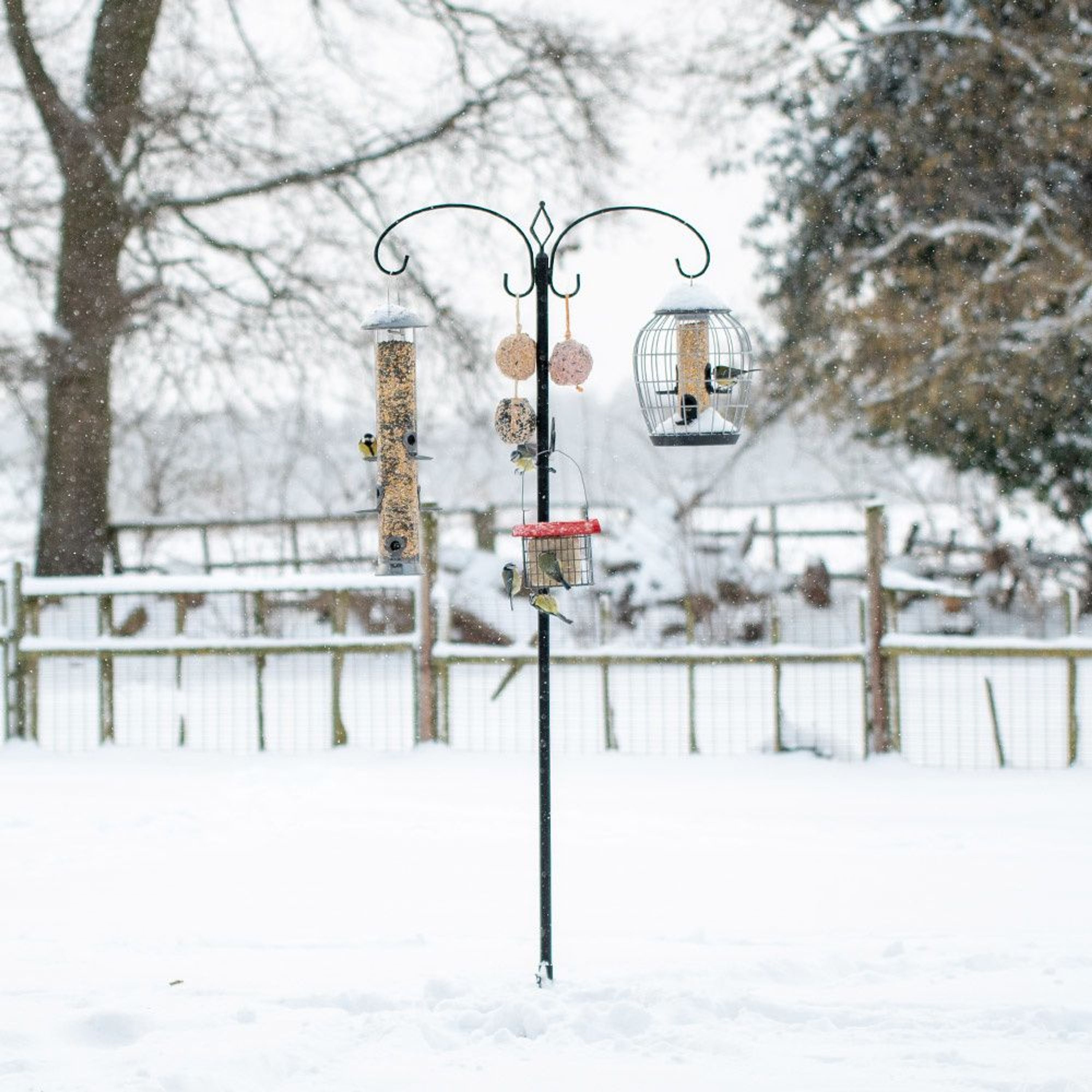 Meilleurs prix pour Poteau de nourrissage pour terrasse - noir | Poteaux | Crochets | Mangeoires oiseaux | Vivara