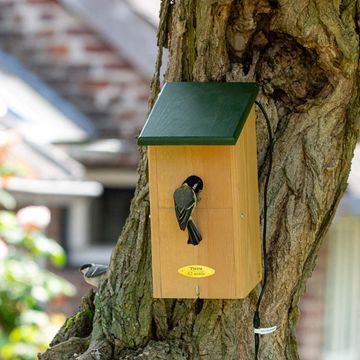 Nichoir pour caméra Icarus