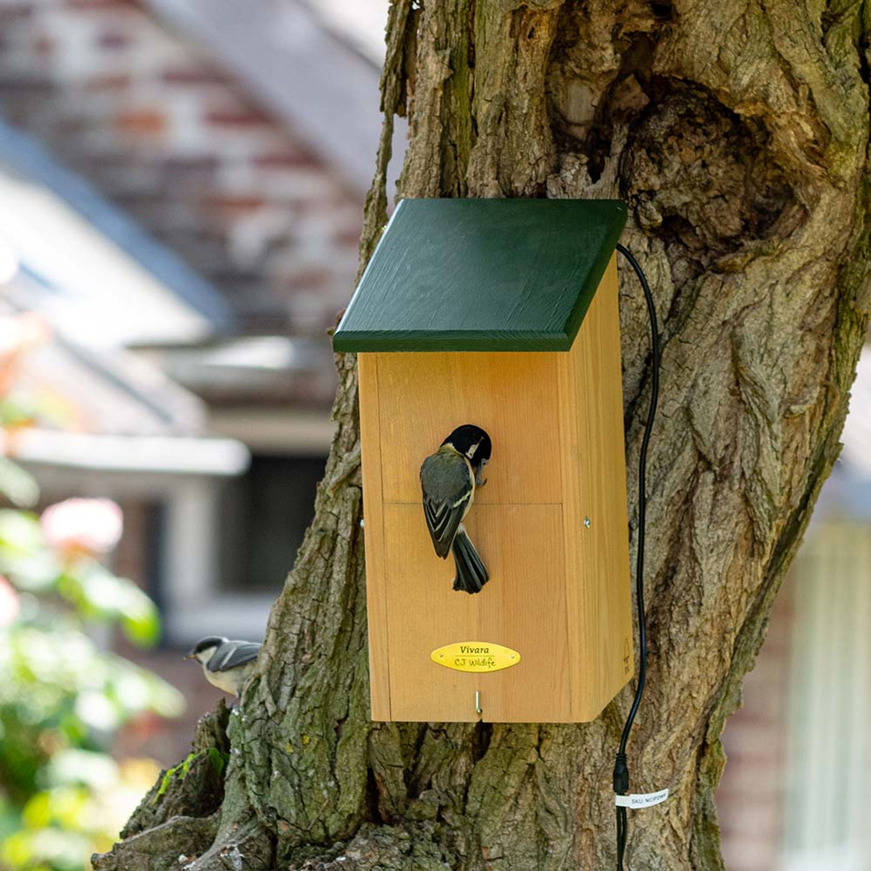 Meilleurs prix pour Nichoir pour caméra Icarus | CJ Wildlife