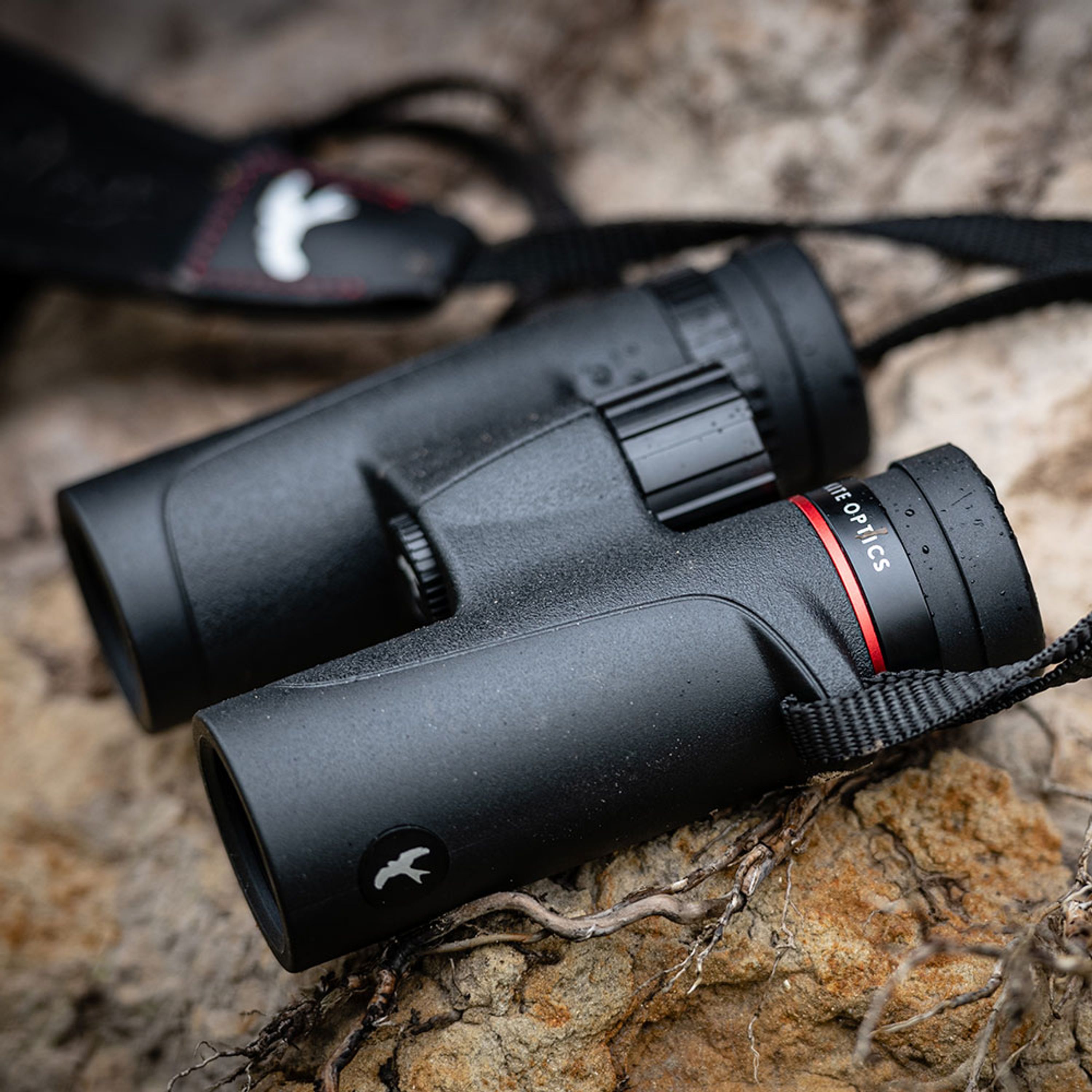 Kite Falco Fernglas 8x42 | Kite Optics