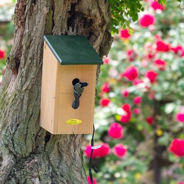 Nest Box with Camera Bundle