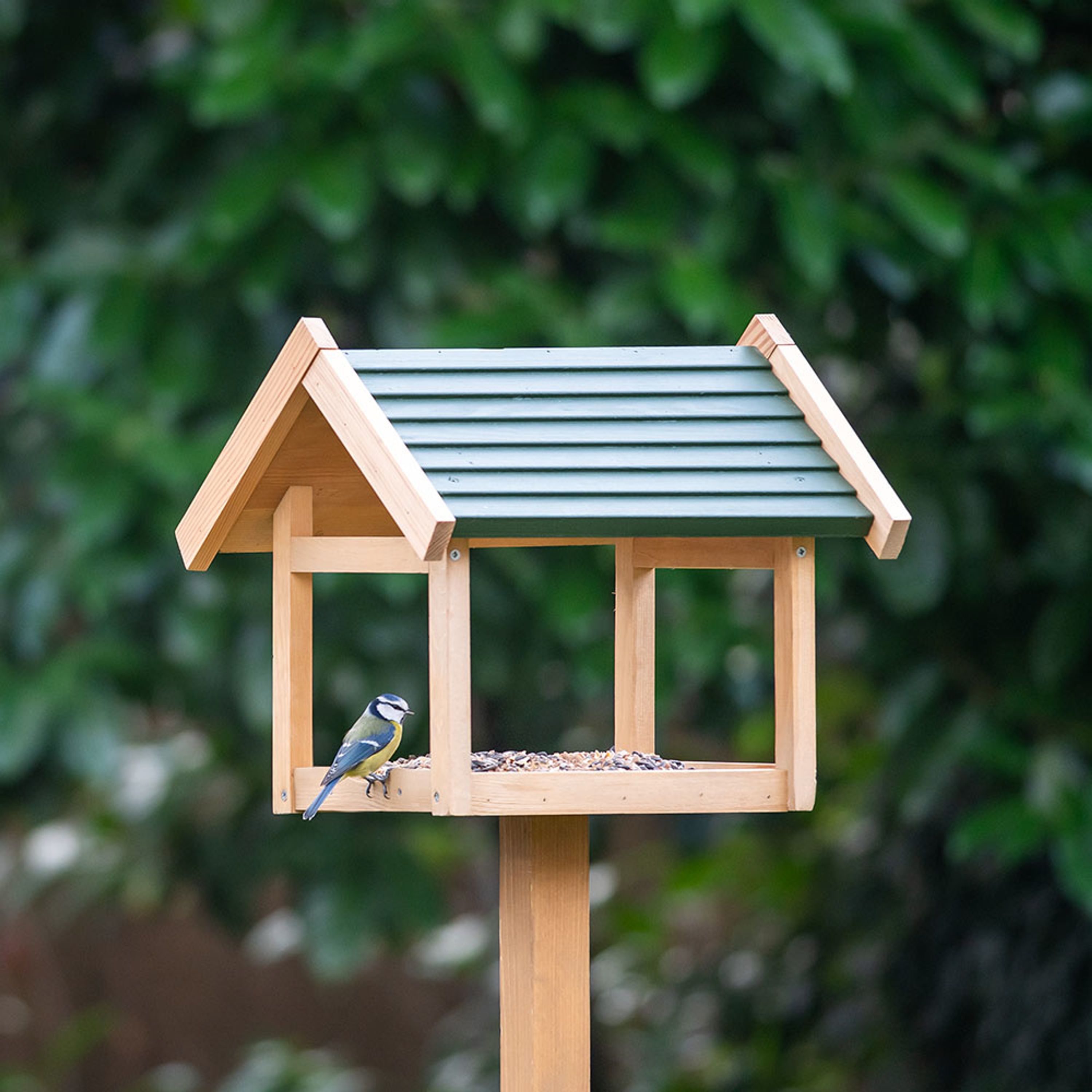 Futterhaus „Shaw“ | CJ Wildlife