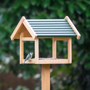 Shaw Bird Table + FREE Seed Mix Starter Bundle
