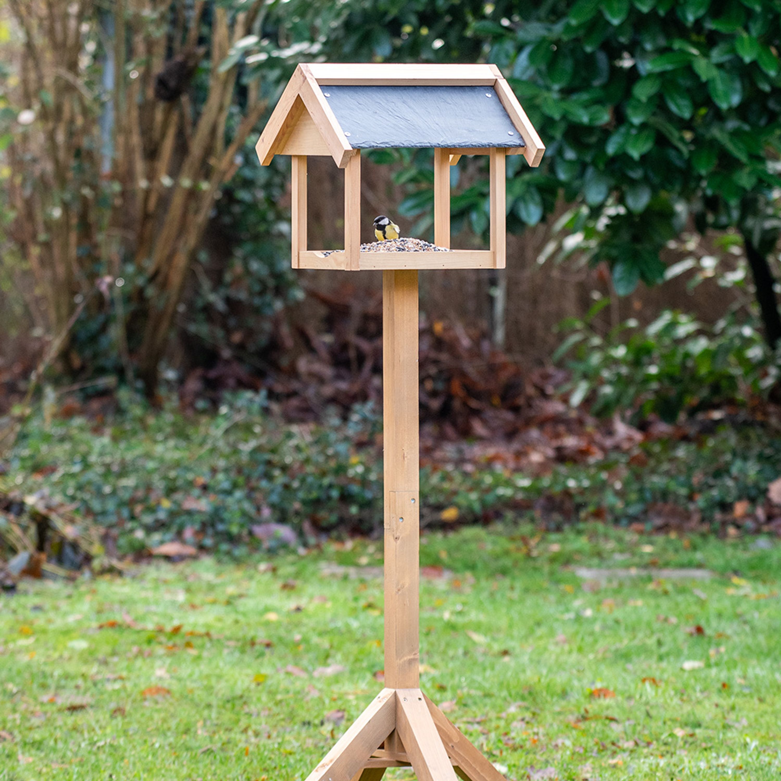 Futterhaus „Georgetown“ | CJ Wildlife