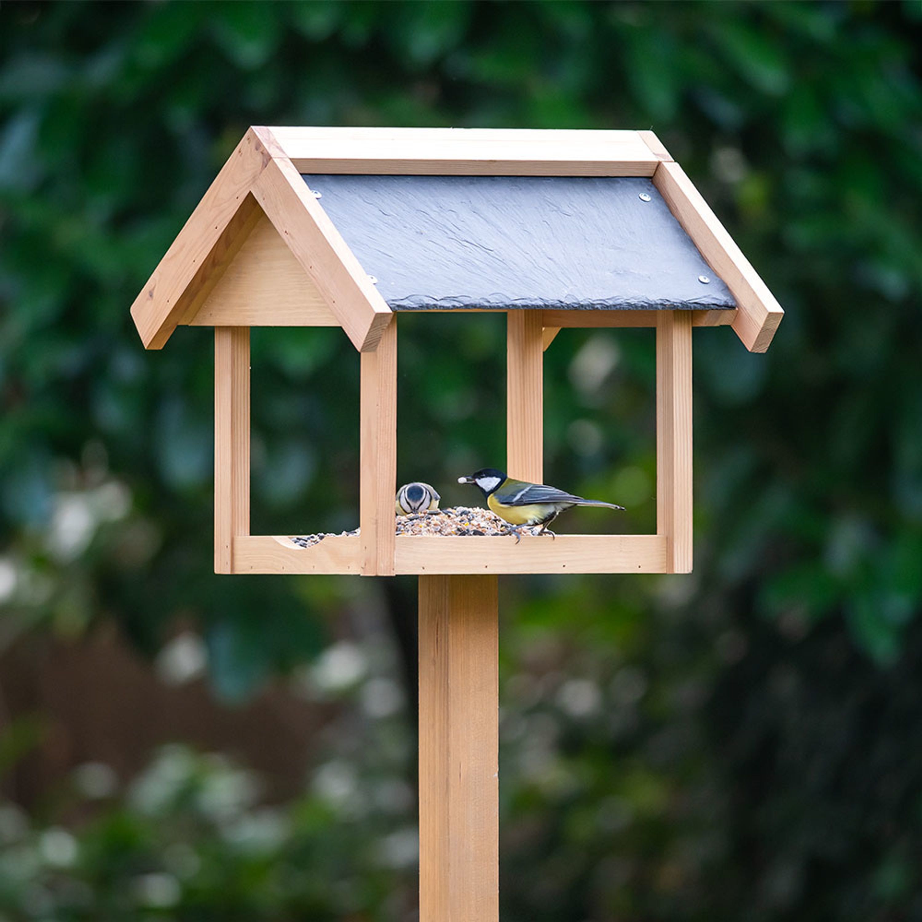 Futterhaus „Georgetown“ | CJ Wildlife