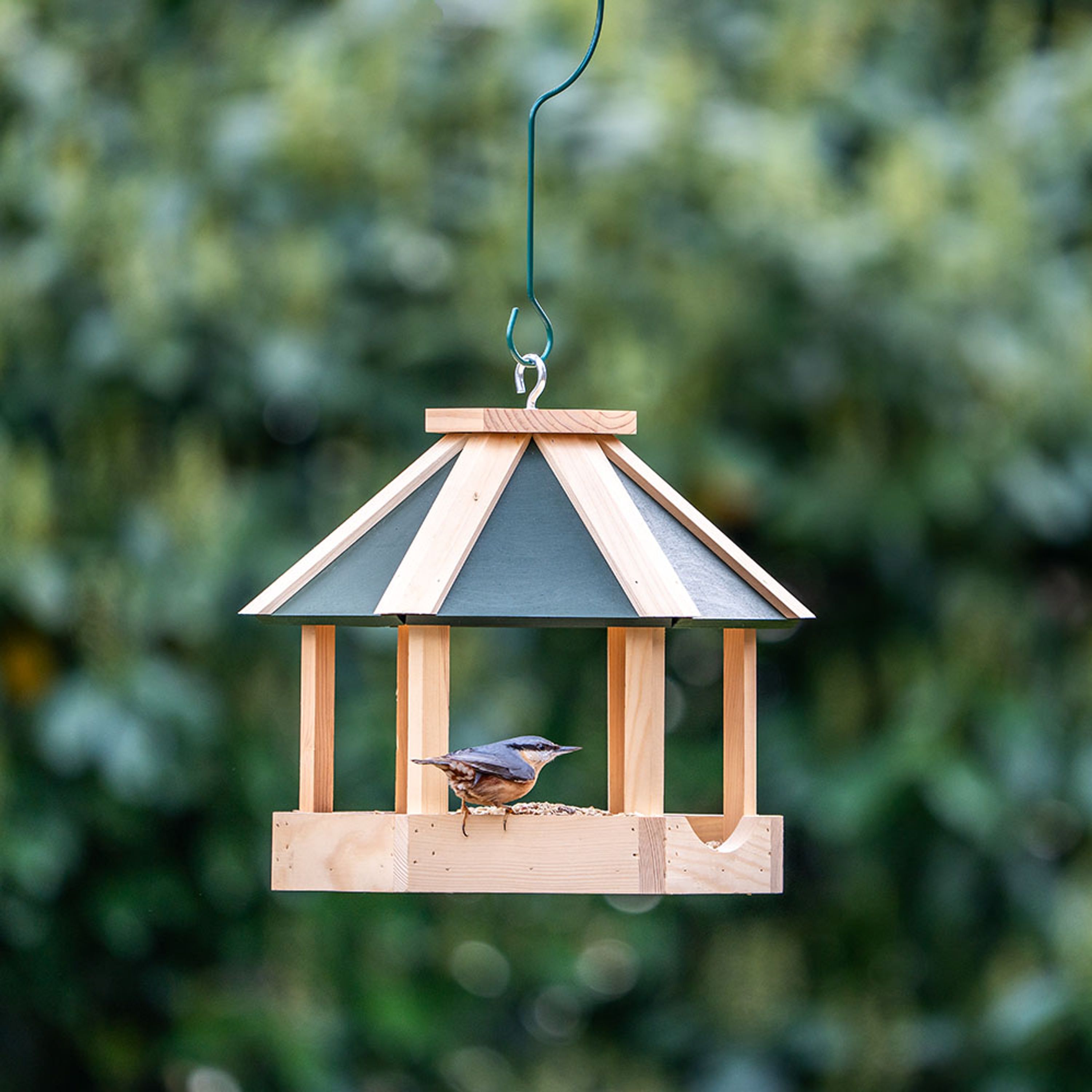 Futterhaus Penn (grünes Dach) | CJ Wildlife