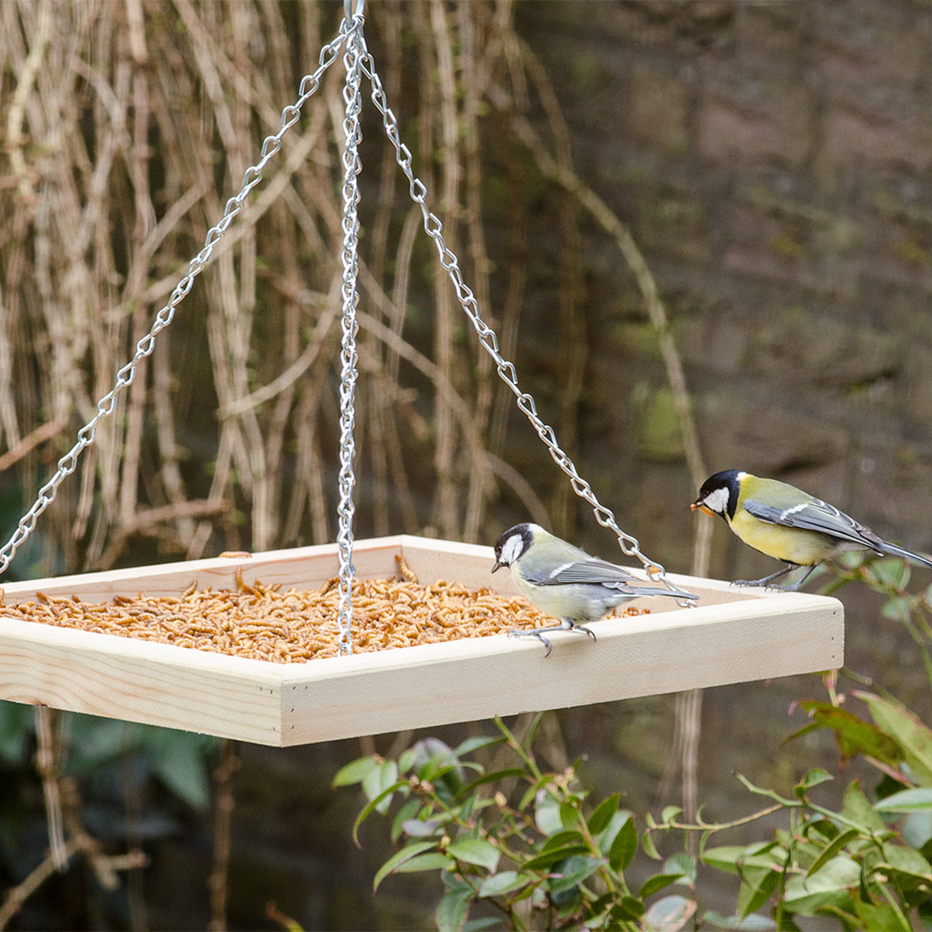 Hängender Futtertisch | CJ Wildlife